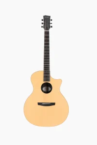 Acoustic Guitar - Enya EGA-X0