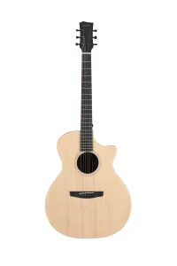 Acoustic Guitar - Enya EGA-X1 Pro Max